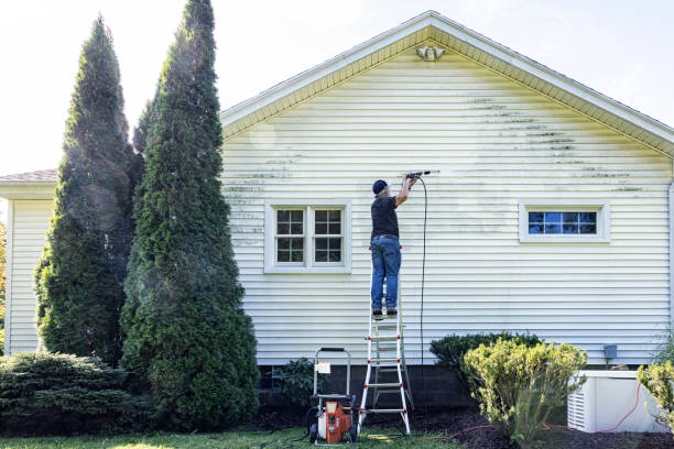 Best Sidewalk and Walkway Cleaning  in Falls City, NE